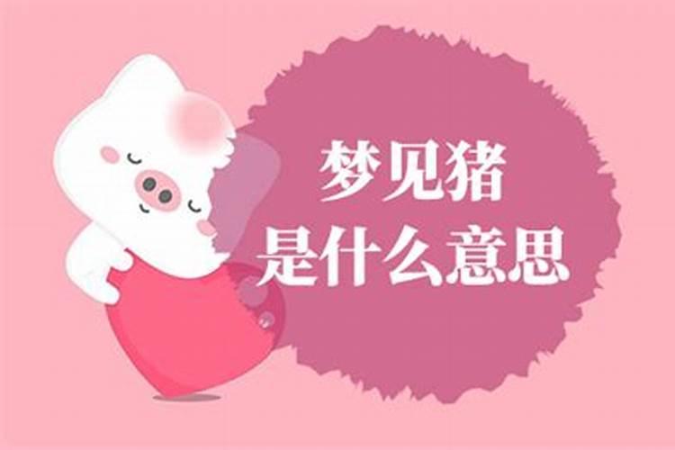 晚上梦到猪是什么意思？