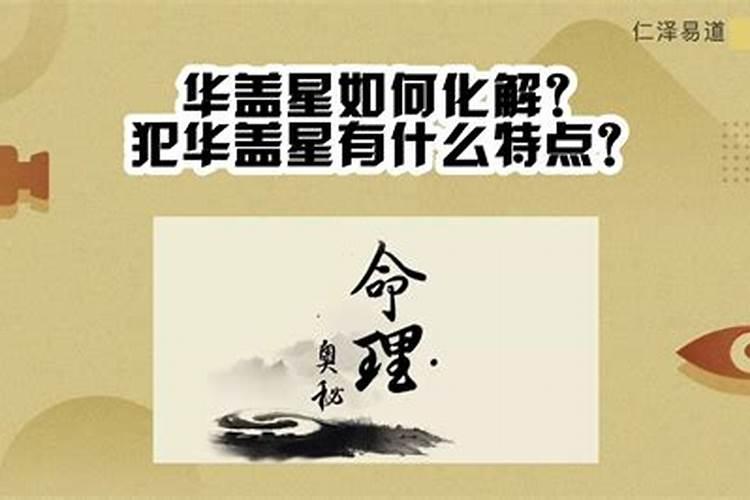 高人麻烦一下您给我看下。