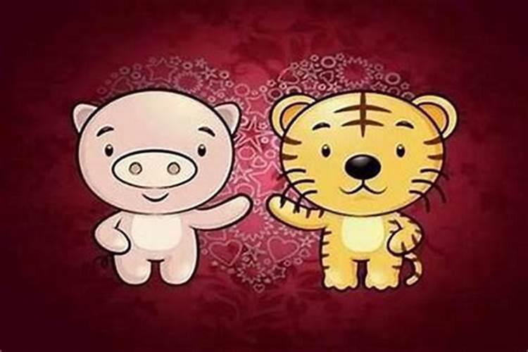 算婚姻:属虎男和属猪女八字相合吗 婚姻好吗