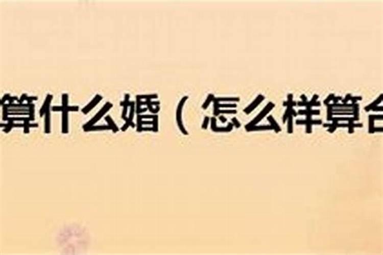 海月龙宫春节营业时间鞍山过年时有什么地方可以玩么