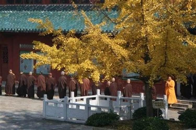 植太岁是什么意思 严重吗!