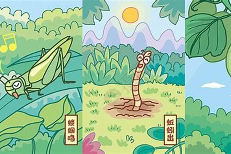 夏至三候是什么 夏至三候的内容