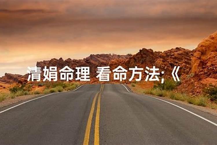 杨清娟和段建业哪个水平高