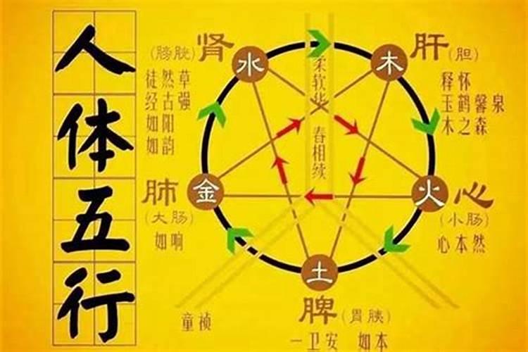 梦到儿子受伤什么征兆
