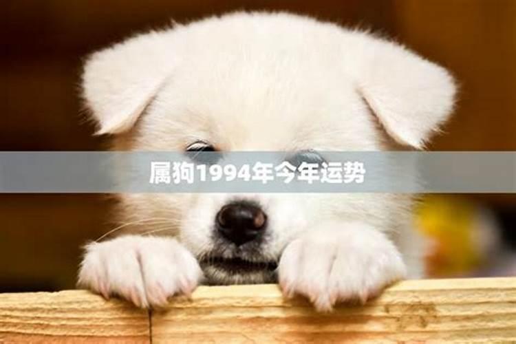 香港风水师苏民峰,真很厉害吗？还是麦玲玲厉害？？
