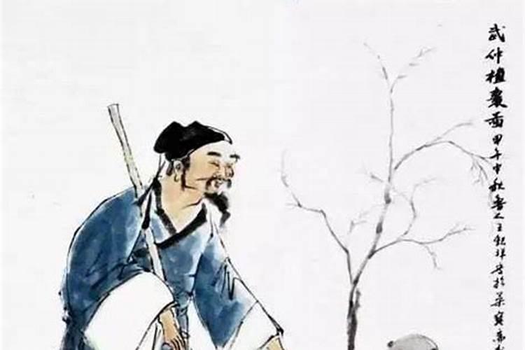 清明扫墓为什么要折松树