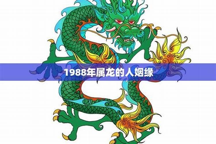 生肖龙:属龙女人的桃花姻缘是怎样的？