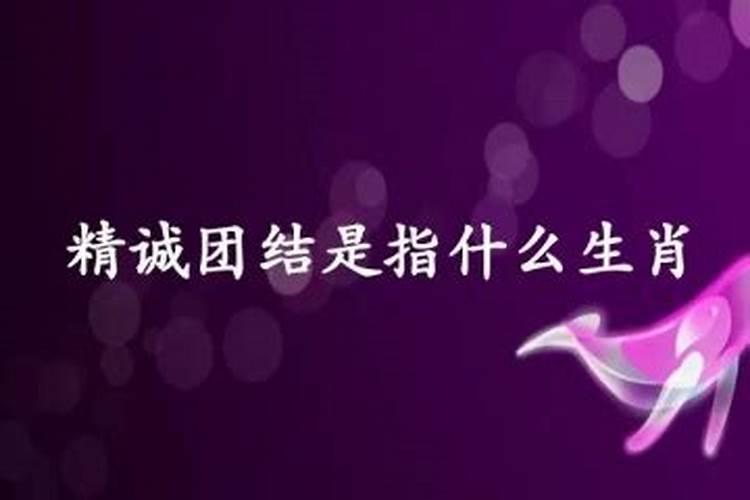 是指什么生肖