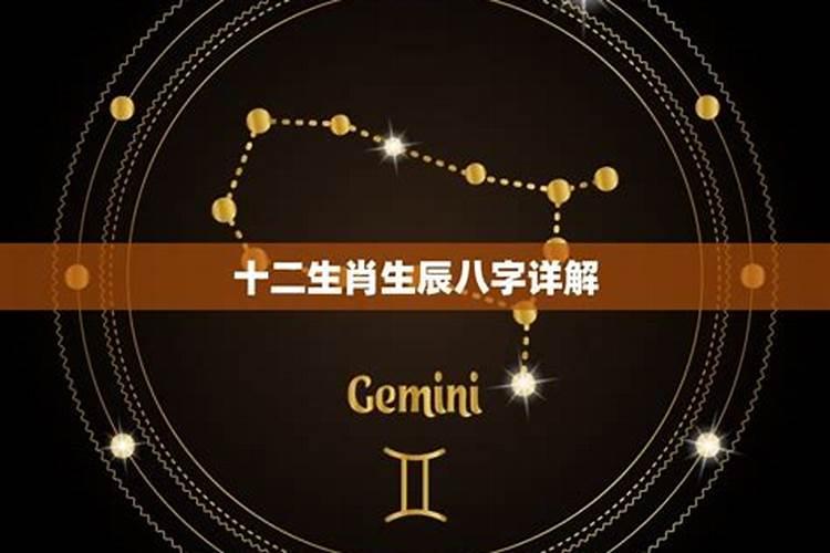 十二生肖运程？