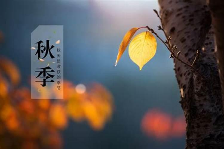 结婚第一年过中秋节,在男方家过,还是在女方家过？