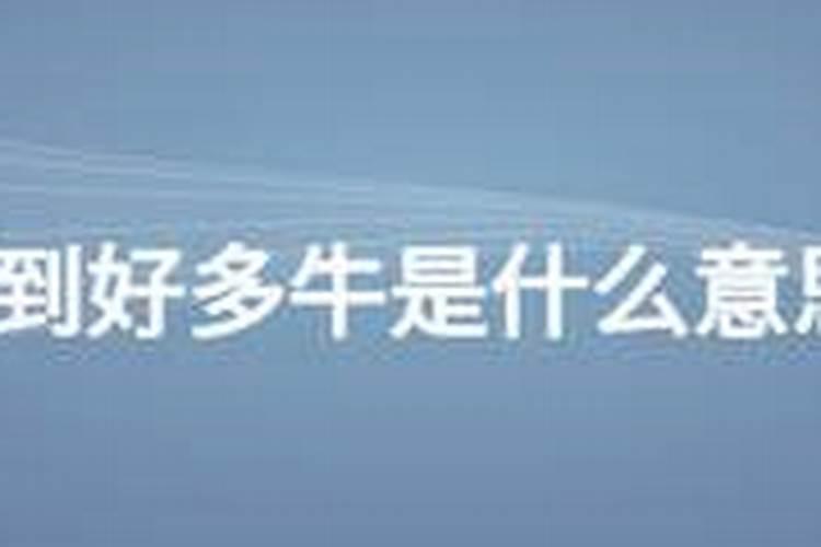 女人梦见好多牛是什么意思 预兆