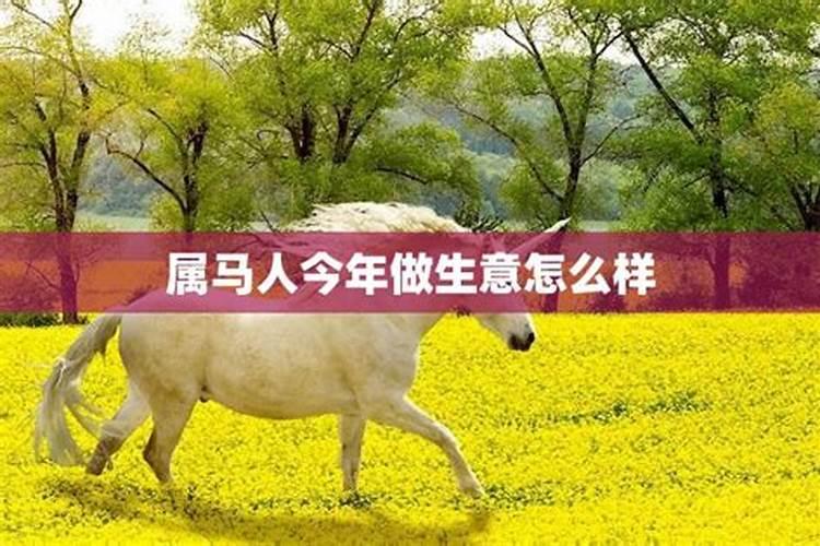 属马的人在猪年是不是有什么忌讳呢