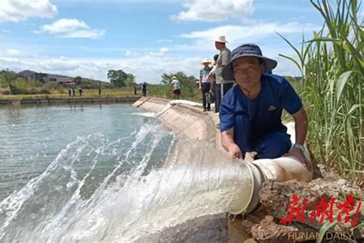 梦见浇地水很大