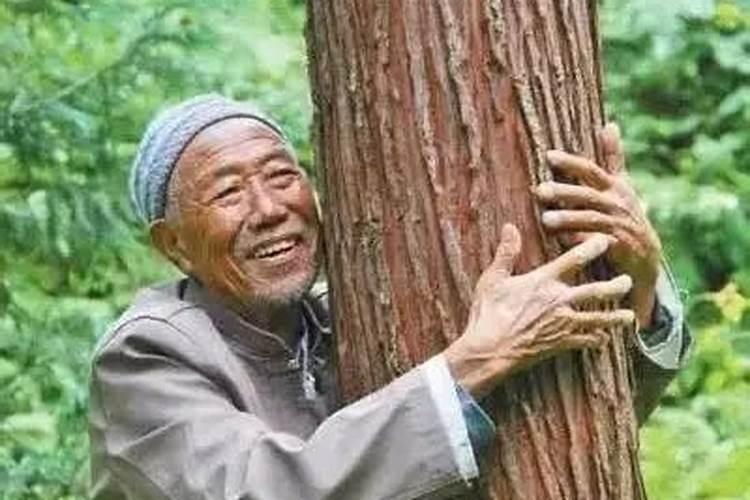 孕妇梦见吃饺子是什么意思