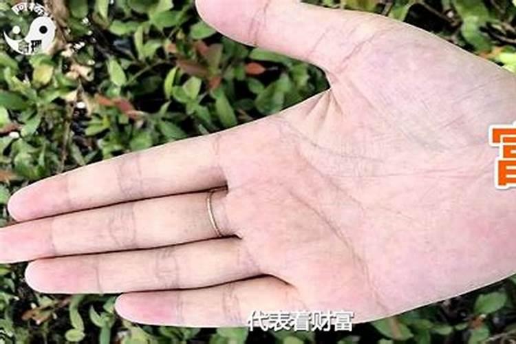 女人右手财运线多好不好,财运线看左手还是右手
