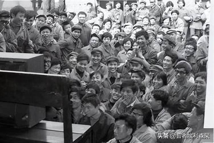 81年属鸡到底是金命还是木命