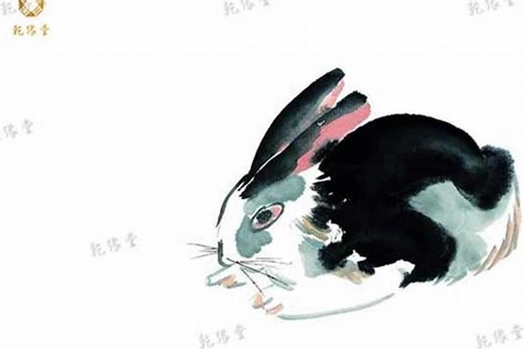 2025年12生肖运势解析