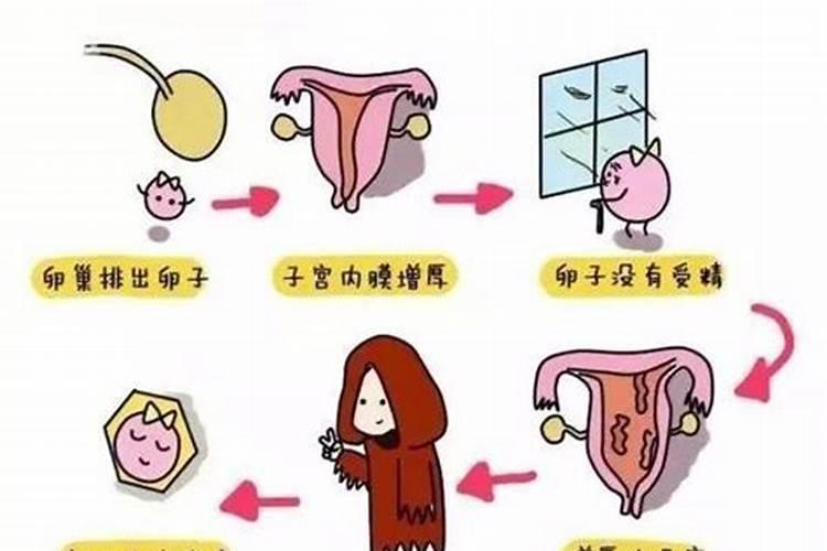 做梦梦到来月经了有什么预兆