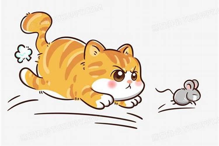梦见抓老鼠什么征兆 梦见抓老鼠的寓意