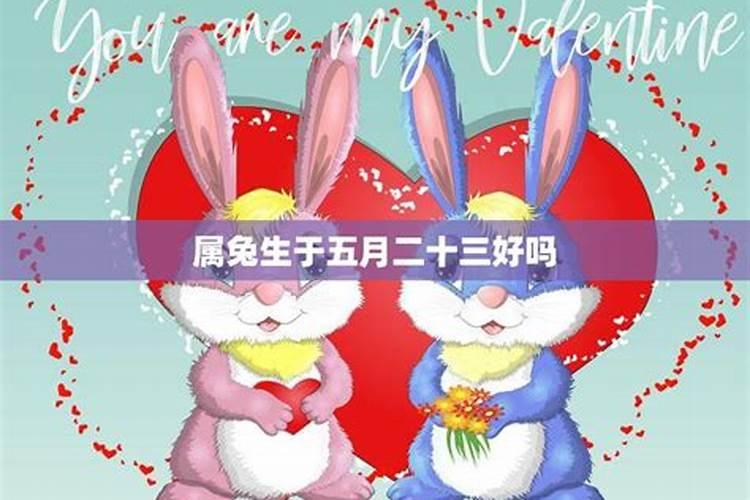五月兔是什么命 属兔的几月破月？