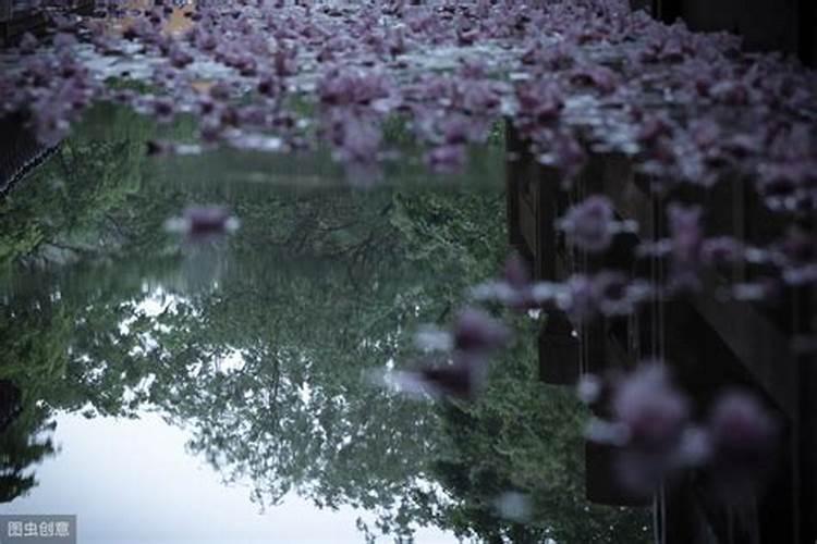 落花情绪,上坟时节。