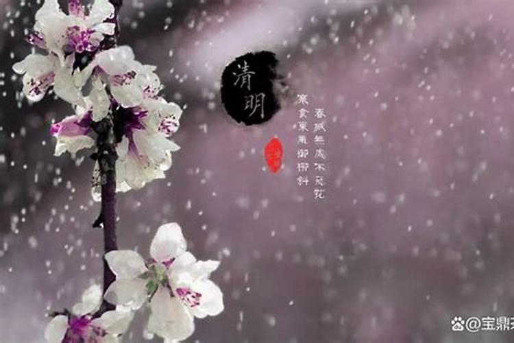 落花飞絮,春意阑珊(10首清明诗词经典)