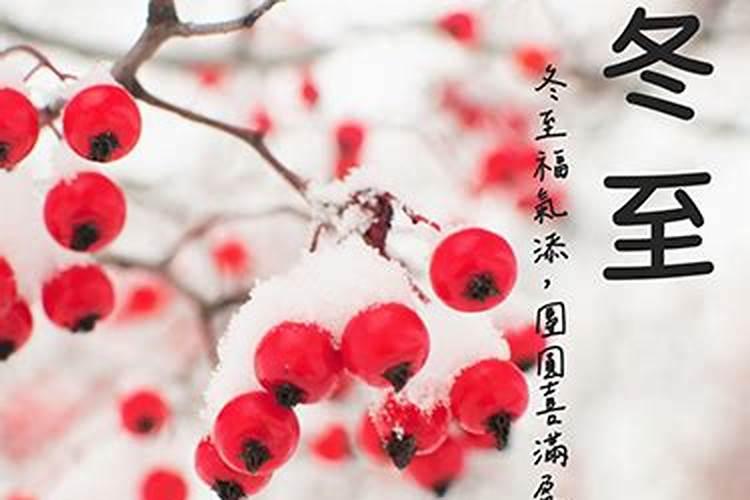 冬至能算卦吗