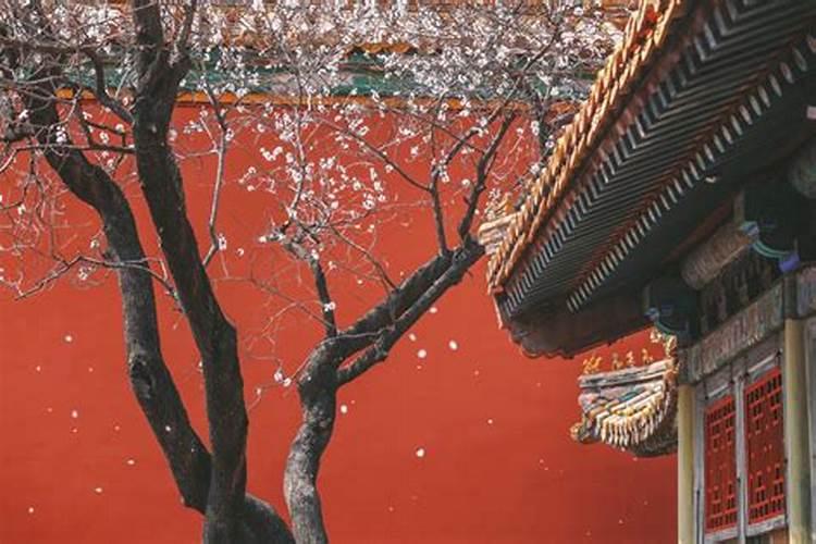 清明节祭奠亲人的诗