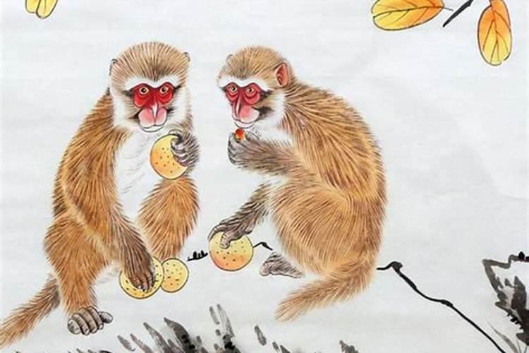 端午什么属相最旺