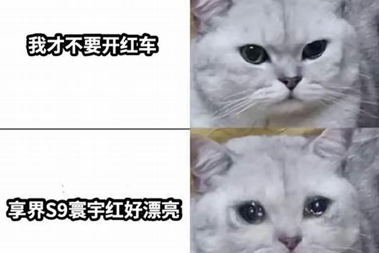 梦见小红旗和小黄旗
