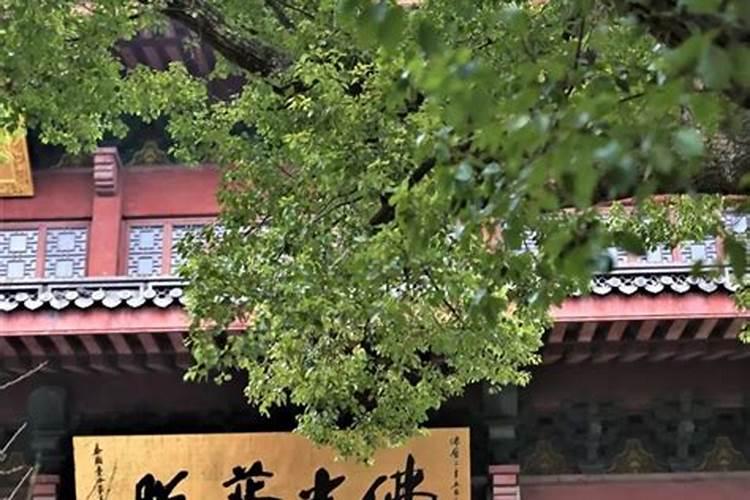 2021年腊月十二月十四各时辰的吉凶如何？这天卦象好不好？