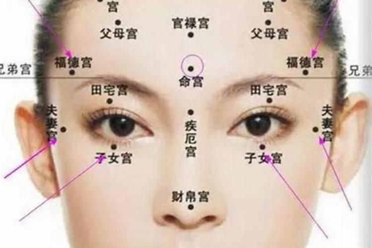 细茎初发绿毛鲜是什么生肖