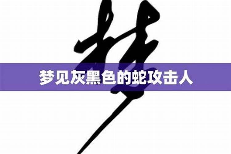 梦见蛇攻击犯人的预兆