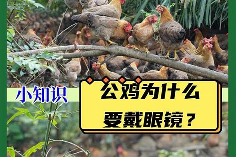 怎么教育小孩做家务呢？