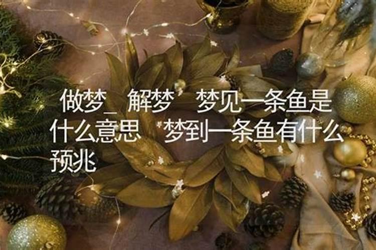 梦见捞到大鱼有什么预兆？是什么意思？