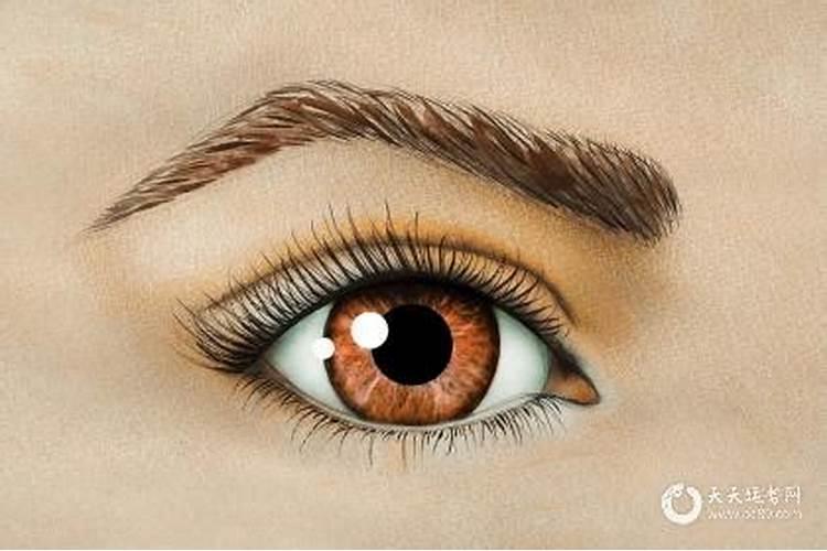 女人的眉形与命运