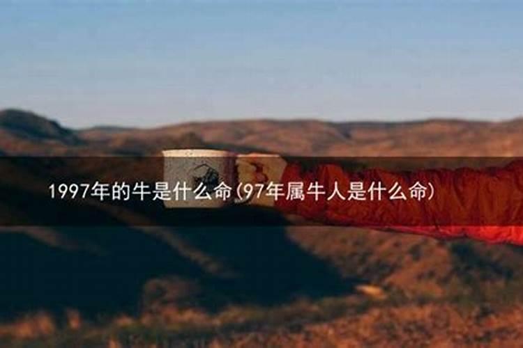 1997年属牛2024年运势及运程详解 97年属牛人2024年龙年每月运程