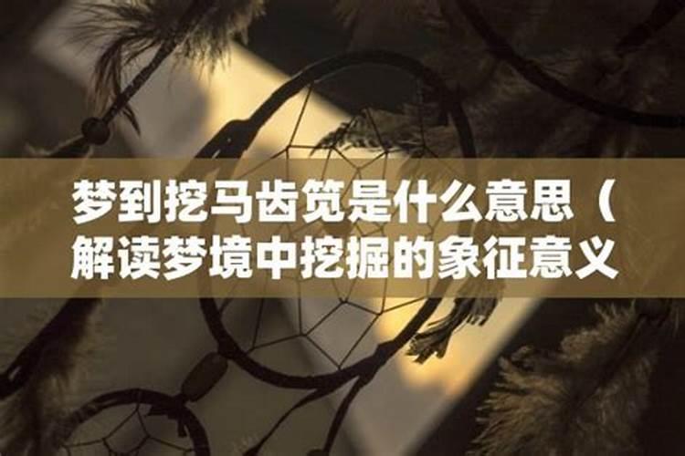孕妇梦见马是什么意思 周公解梦