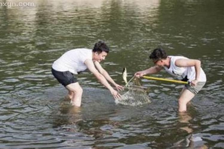 梦见逮鱼是什么预兆 男性周公解梦