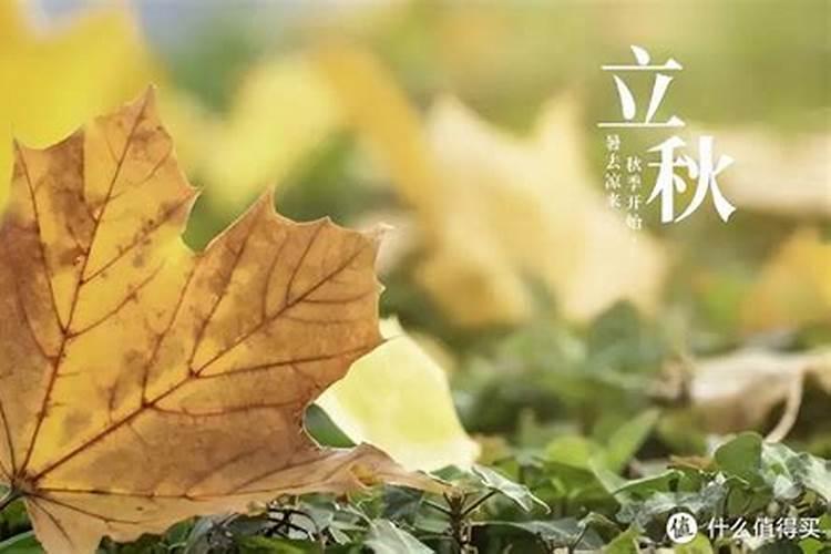 立秋注意什么