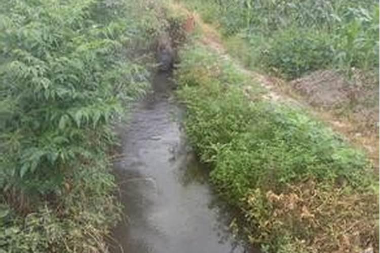 梦见水渠的水很满的预兆