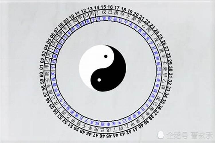 崇明岛冬天为什么这么冷,崇明冬季自驾旅游攻略