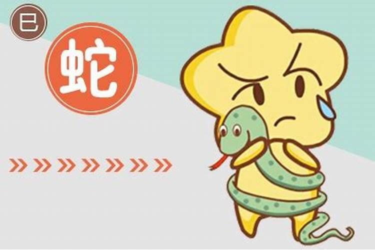 合姻缘:属虎的女人和属蛇男能结婚吗 有没有姻缘