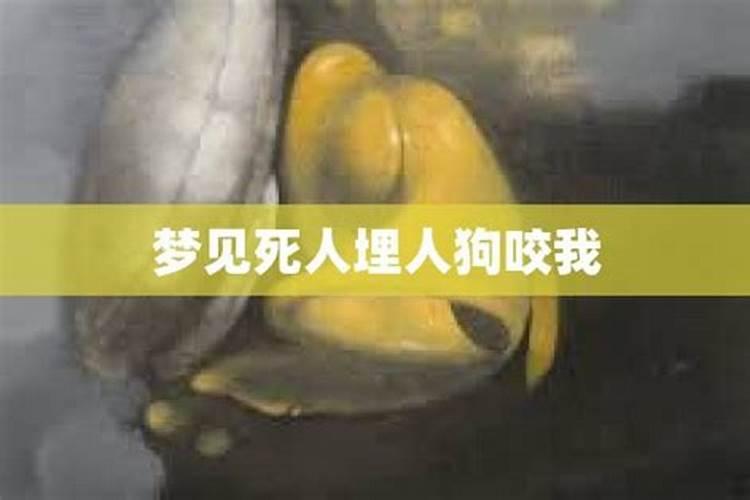 梦见陌生人死了