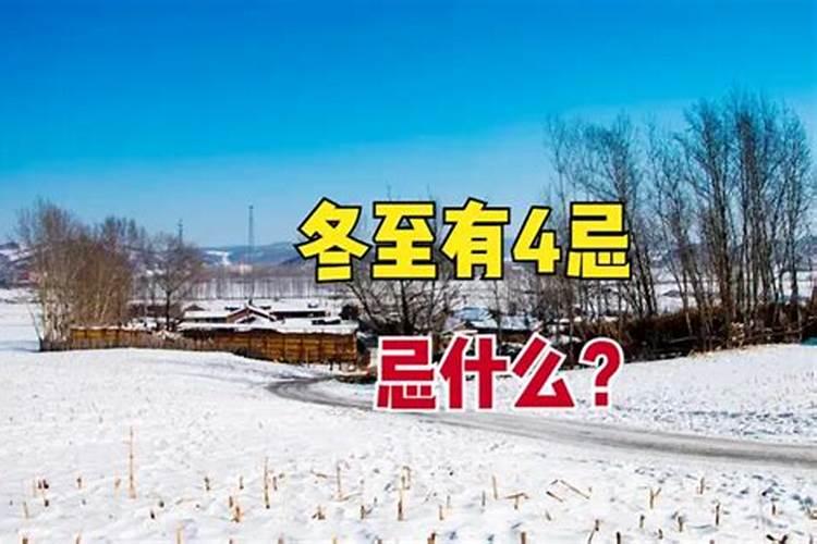 属兔人遇虎年必有一破