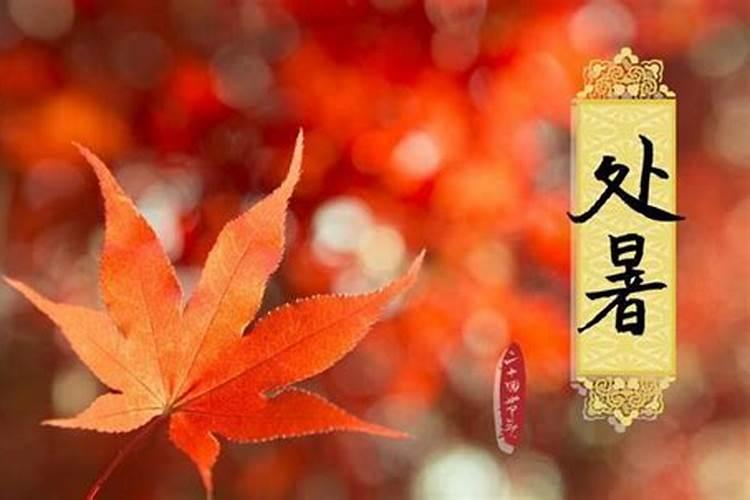 处暑和立秋哪个在前 立秋和处暑哪个热
