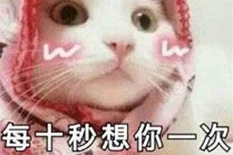 给女朋友讲笑话逗她开心