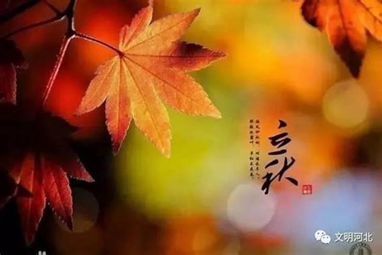 梦见弟弟躺在我打开的棺材里