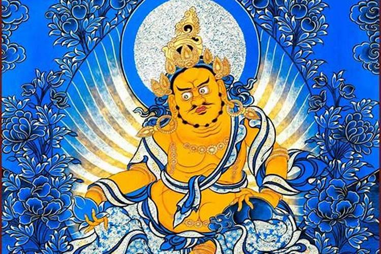 财神鱼的寿命有多长
