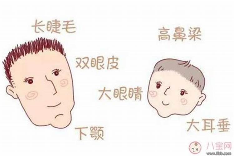 男人面相鼻子命运